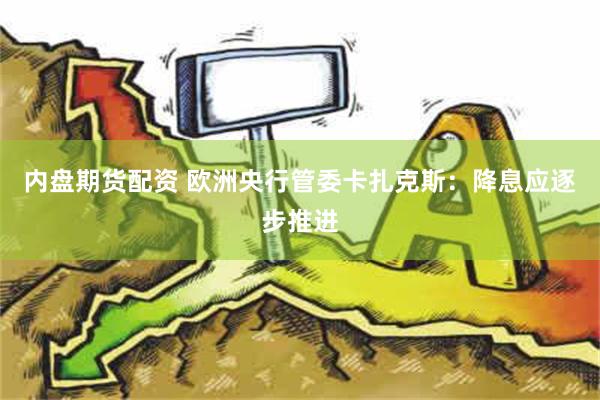 内盘期货配资 欧洲央行管委卡扎克斯：降息应逐步推进