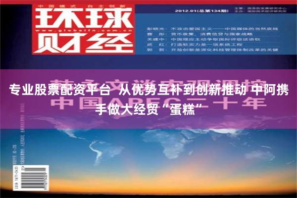 专业股票配资平台  从优势互补到创新推动 中阿携手做大经贸“蛋糕”