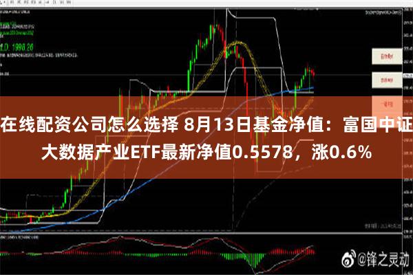 在线配资公司怎么选择 8月13日基金净值：富国中证大数据产业ETF最新净值0.5578，涨0.6%