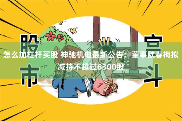 怎么加杠杆买股 神驰机电最新公告：董事欧春梅拟减持不超过6300股