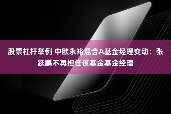 股票杠杆举例 中欧永裕混合A基金经理变动：张跃鹏不再担任该基金基金经理