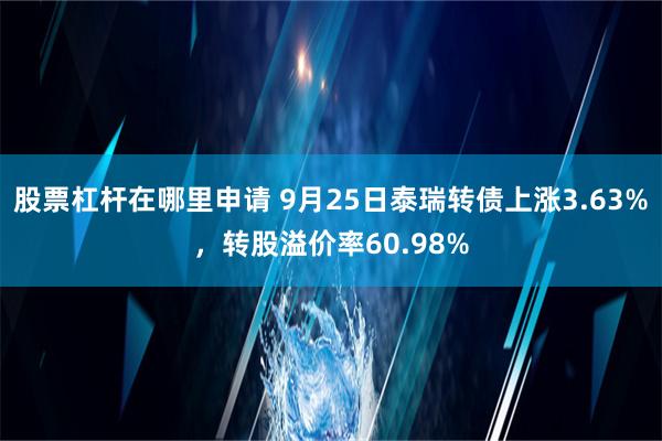 股票杠杆在哪里申请 9月25日泰瑞转债上涨3.63%，转股溢价率60.98%