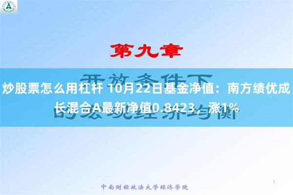 炒股票怎么用杠杆 10月22日基金净值：南方绩优成长混合A最新净值0.8423，涨1%