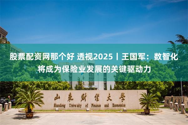 股票配资网那个好 透视2025丨王国军：数智化将成为保险业发展的关键驱动力